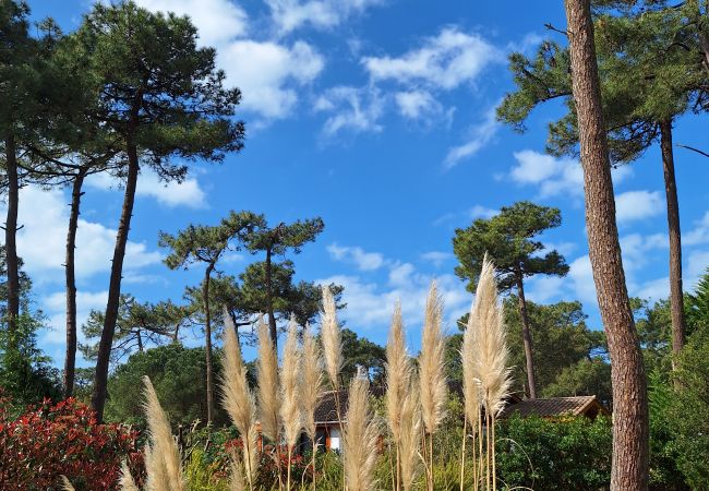 Chalet in Grayan-et-l´Hôpital - Chalet Arizona 6 Chalet in Grayan-et-l´Hôpital - Chalet Arizona 6