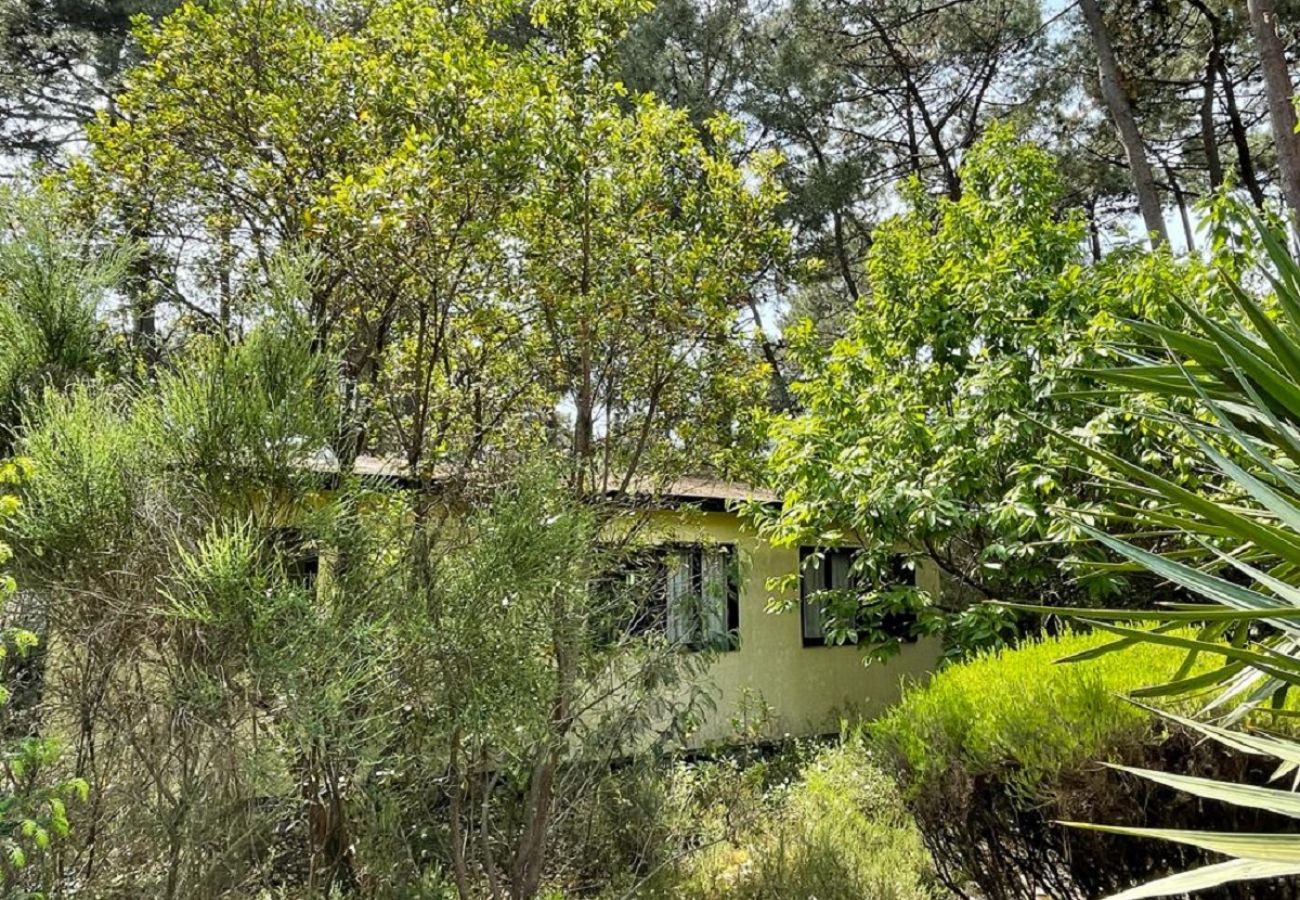 Chalet in Grayan-et-l´Hôpital - Chalet Irlande 5