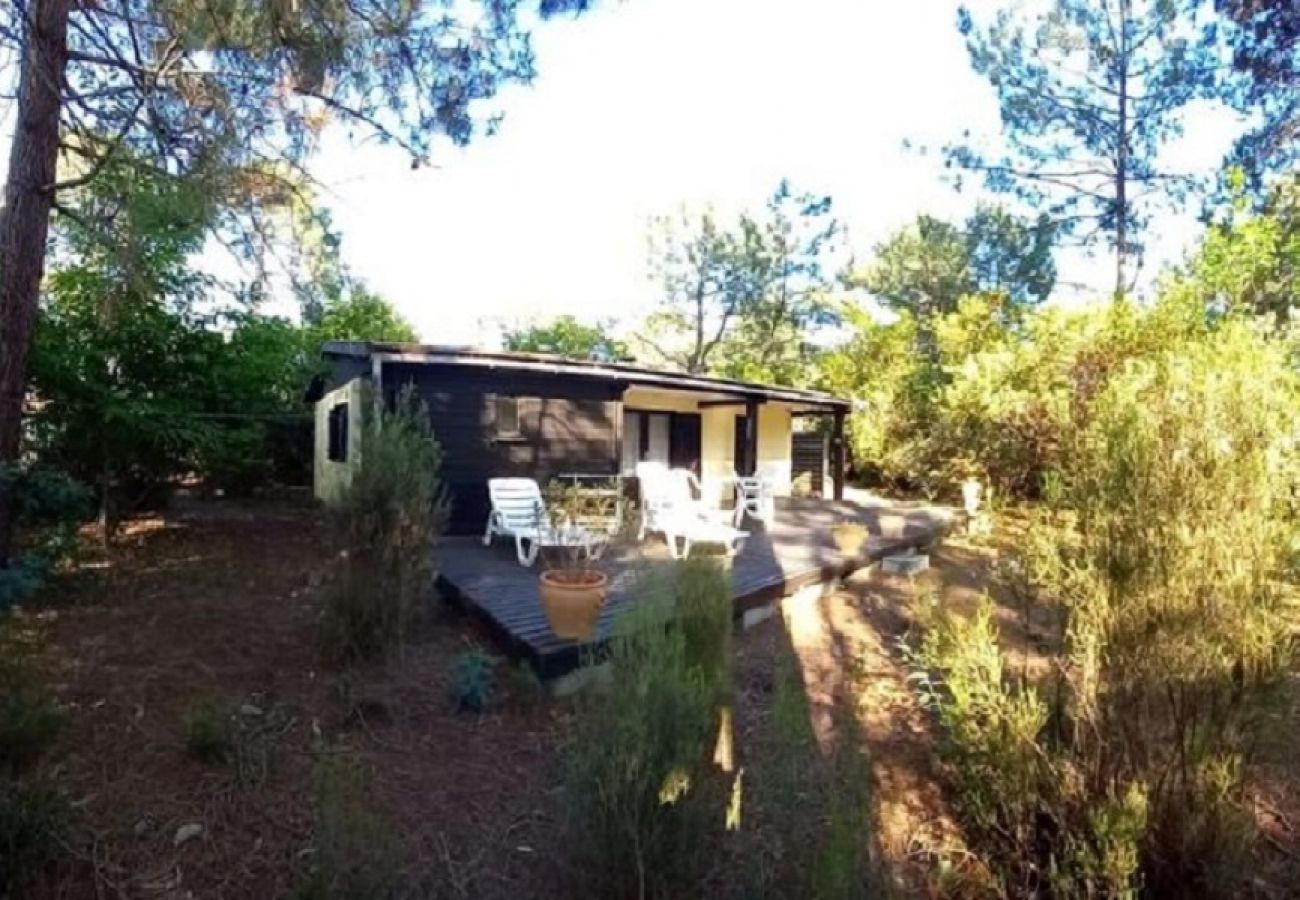 Chalet in Grayan-et-l´Hôpital - Chalet Irlande 5