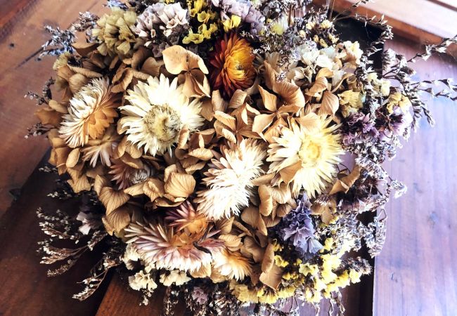 Chalet in Grayan-et-l´Hôpital - Chalet Surinam 7 Chalet in Grayan-et-l´Hôpital - Chalet Surinam 7