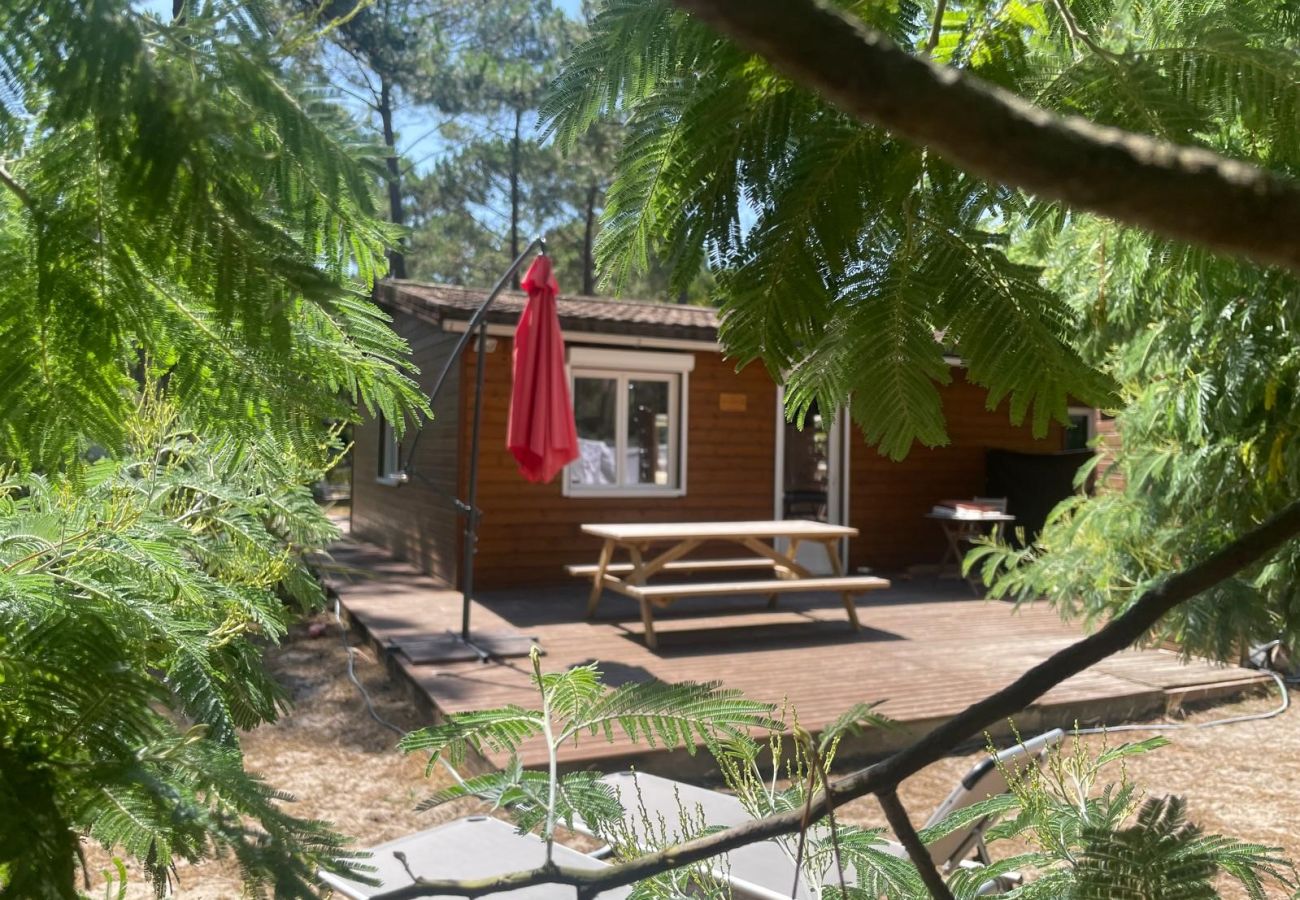 Chalet in Grayan-et-l´Hôpital - Chalet Inde 11