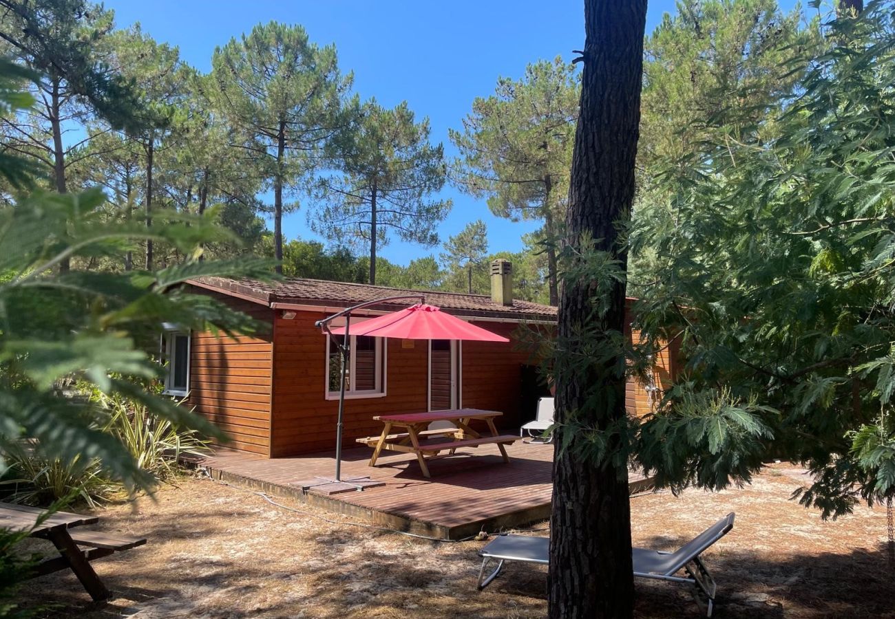 Chalet in Grayan-et-l´Hôpital - Chalet Inde 11