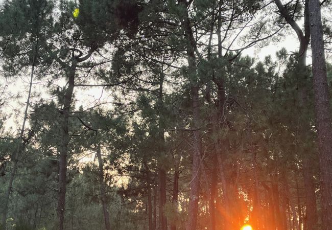 Villa in Grayan-et-l´Hôpital - Villa Chili 7 Villa in Grayan-et-l´Hôpital - Villa Chili 7