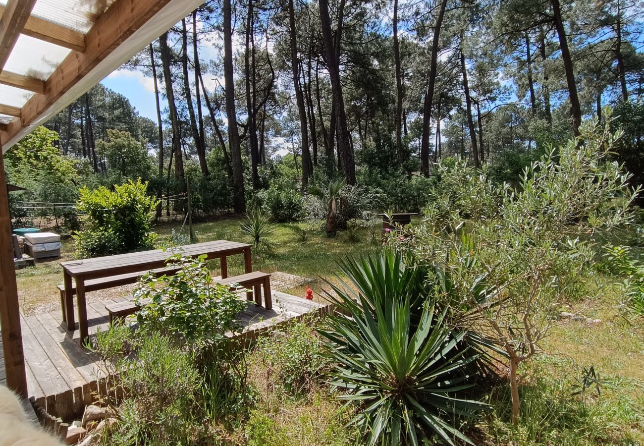Chalet in Grayan-et-l´Hôpital - Chalet Belgique 5