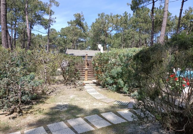 Studio in Grayan-et-l´Hôpital - Studio Asie 1 Nord Studio in Grayan-et-l´Hôpital - Studio Asie 1 Nord