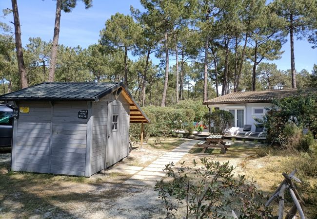 Studio in Grayan-et-l´Hôpital - Studio Asie 1 Nord Studio in Grayan-et-l´Hôpital - Studio Asie 1 Nord