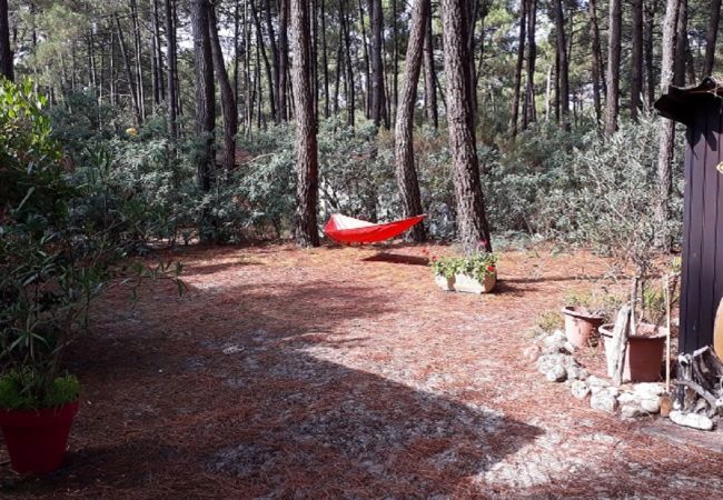 Studio in Grayan-et-l´Hôpital - Studio Mongolie 5 Nord Studio in Grayan-et-l´Hôpital - Studio Mongolie 5 Nord