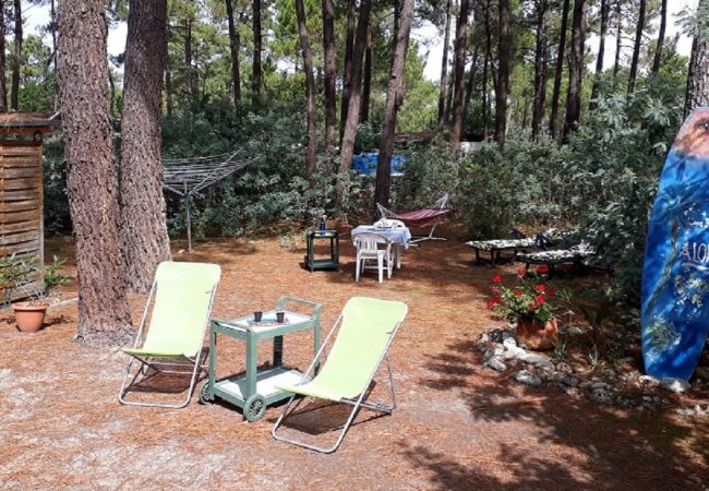 Studio in Grayan-et-l´Hôpital - Studio Mongolie 5 Nord Studio in Grayan-et-l´Hôpital - Studio Mongolie 5 Nord