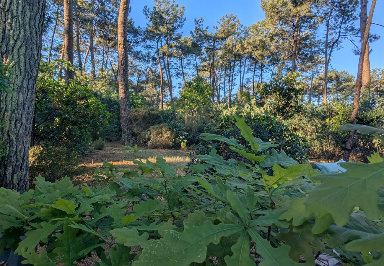 Studio in Grayan-et-l´Hôpital - Studio Asie 14 Ouest