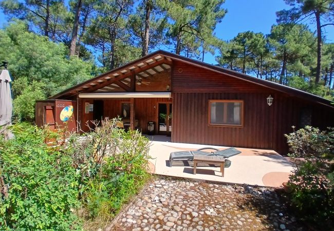 Villa in Grayan-et-l´Hôpital - Chalet Bahia 3