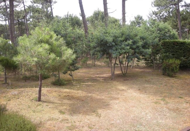 Chalet in Grayan-et-l´Hôpital - Chalet Arizona 1 Chalet in Grayan-et-l´Hôpital - Chalet Arizona 1