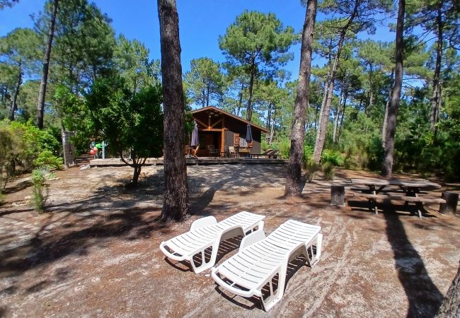 Chalet in Grayan-et-l´Hôpital - Chalet Colombie 5 Chalet in Grayan-et-l´Hôpital - Chalet Colombie 5