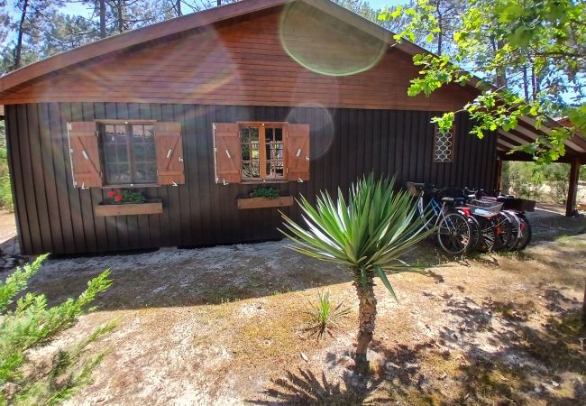 Chalet in Grayan-et-l´Hôpital - Chalet Colombie 5 Chalet in Grayan-et-l´Hôpital - Chalet Colombie 5