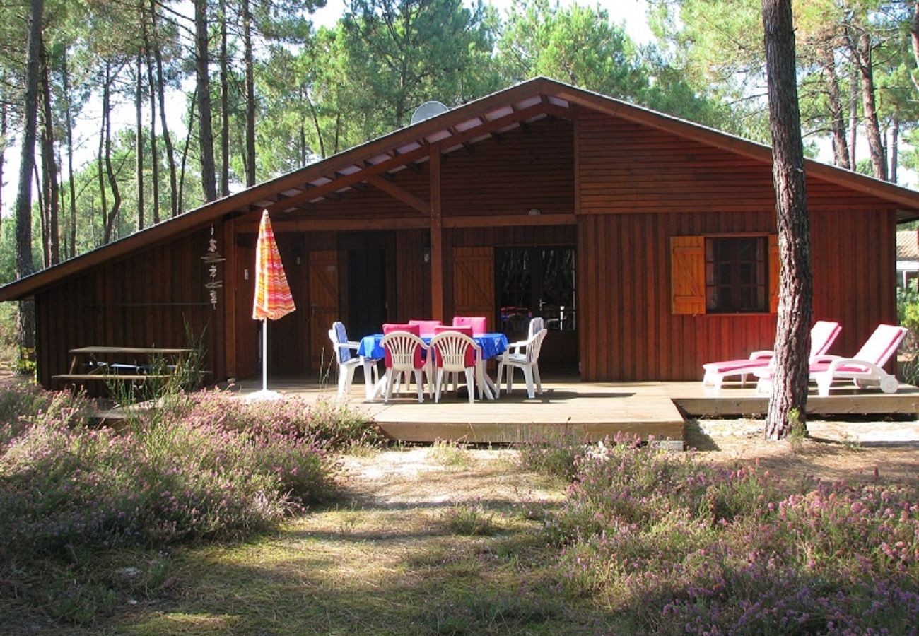 Chalet in Grayan-et-l´Hôpital - Chalet Nouvelle Calédonie 1