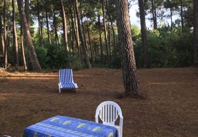 Chalet in Grayan-et-l´Hôpital - Chalet Amérique du Sud 17