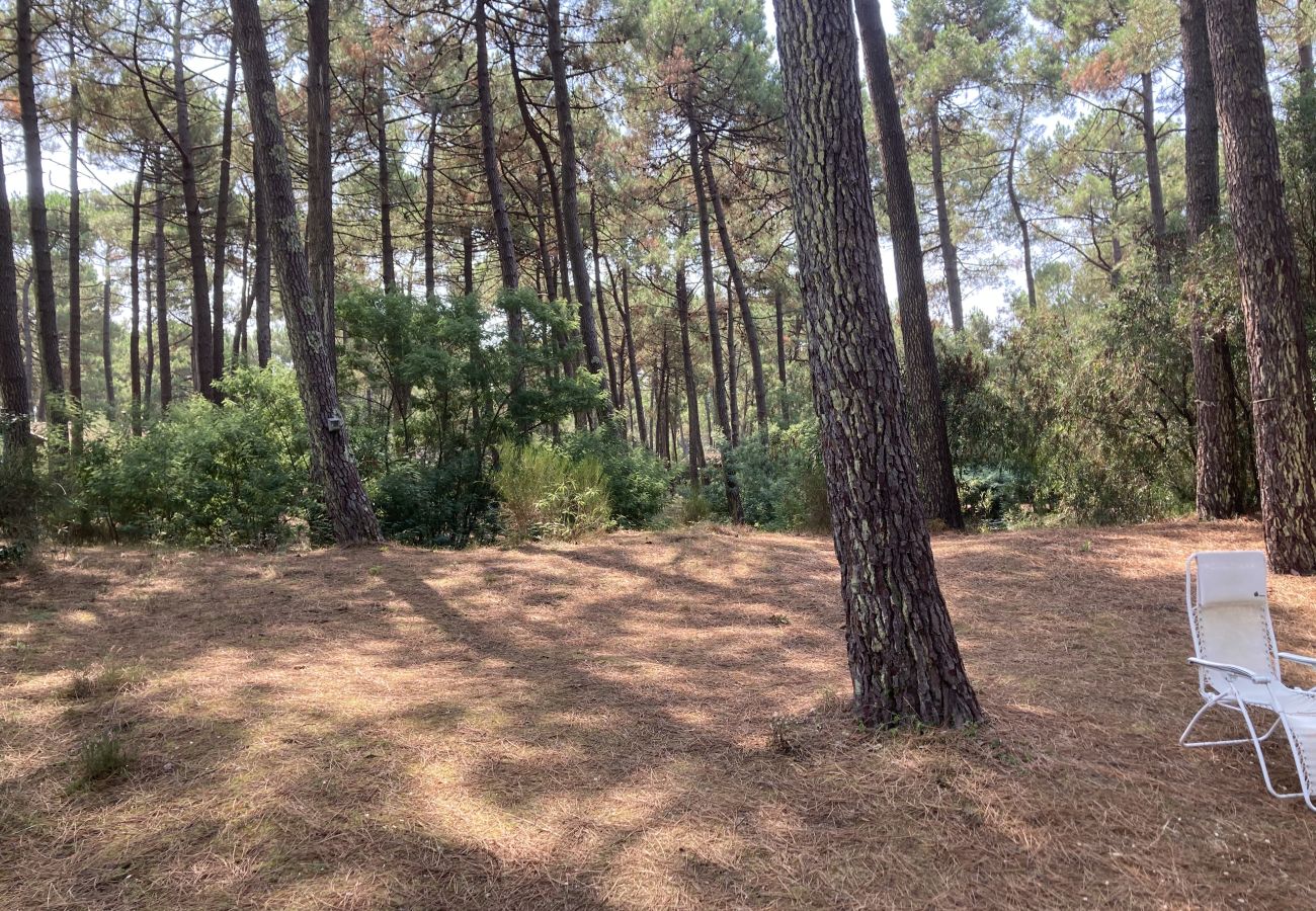 Chalet in Grayan-et-l´Hôpital - Chalet Amérique du Sud 17