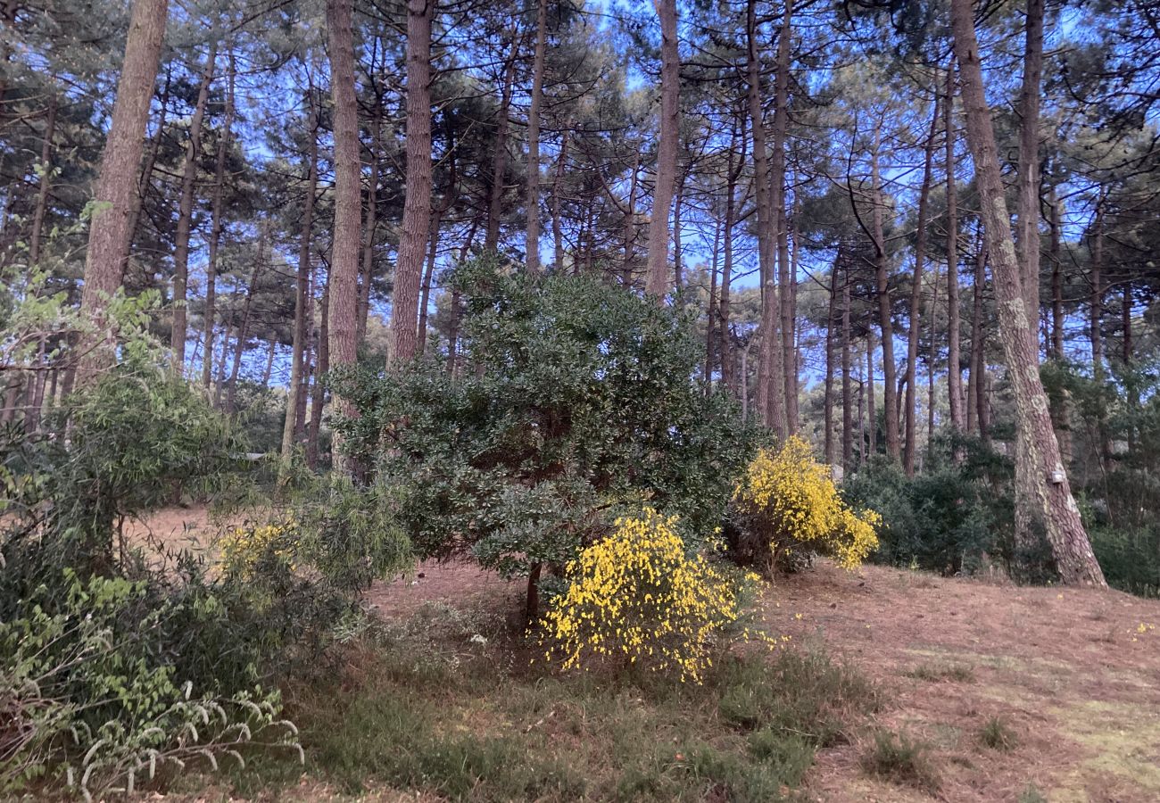 Chalet in Grayan-et-l´Hôpital - Chalet Amérique du Sud 17