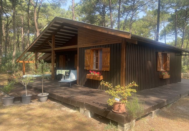 Chalet in Grayan-et-l´Hôpital - Chalet Sénégal 3