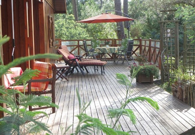 Chalet in Grayan-et-l´Hôpital - Chalet Mississippi 5