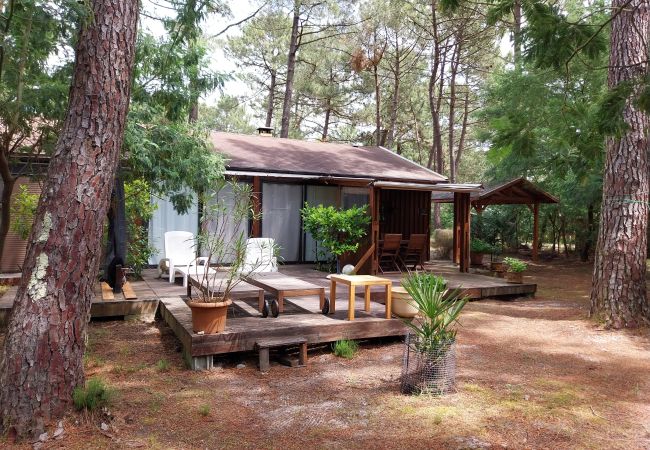 Chalet in Grayan-et-l´Hôpital - Chalet Afrique 16