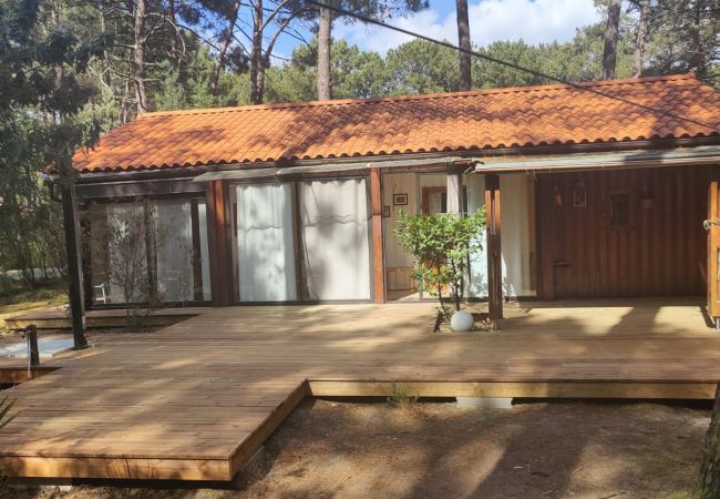 Chalet in Grayan-et-l´Hôpital - Chalet Afrique 16