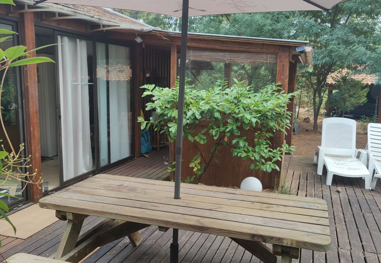 Chalet in Grayan-et-l´Hôpital - Chalet Afrique 16