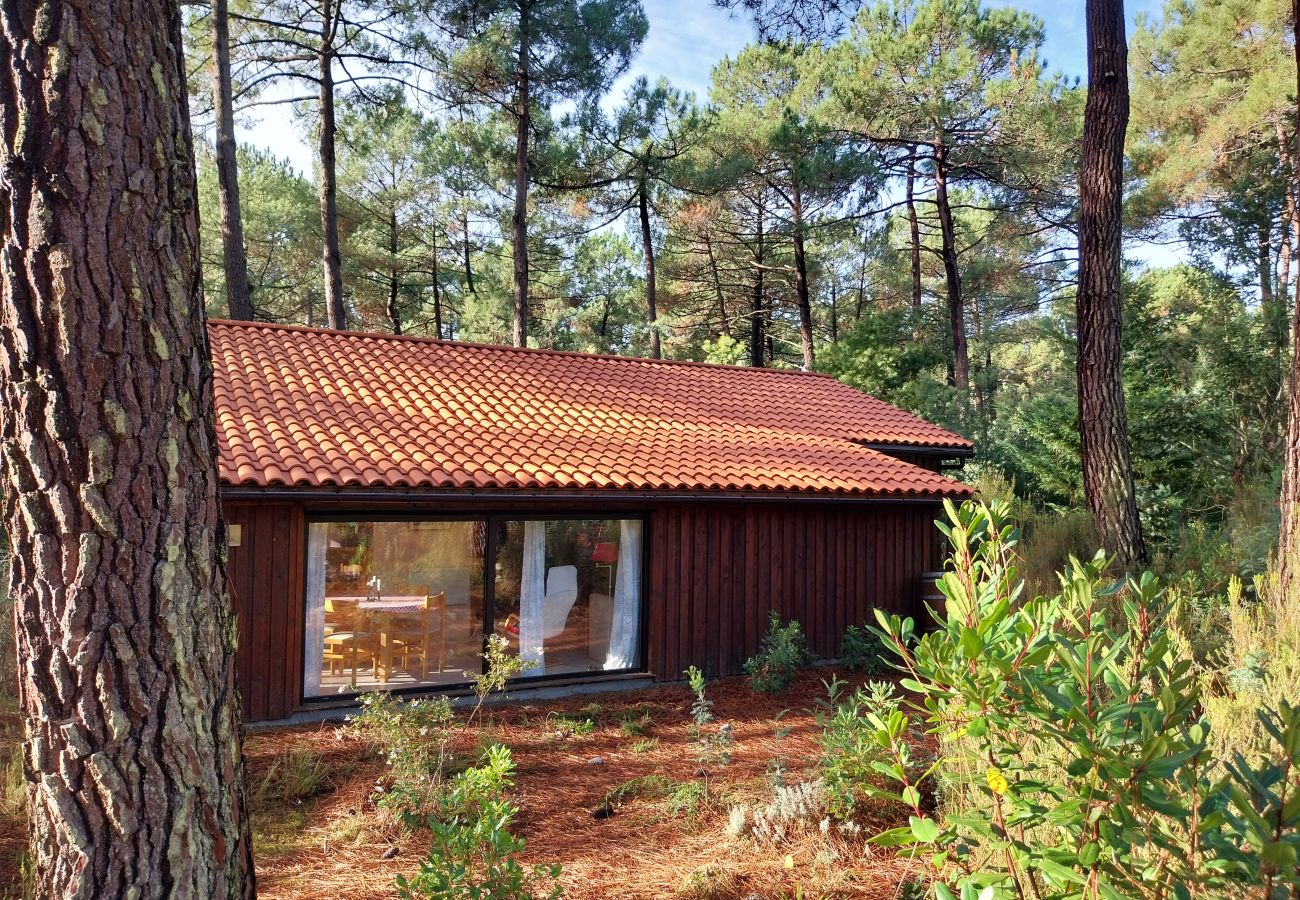 Chalet in Grayan-et-l´Hôpital - Chalet Afrique 16