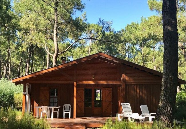 Villa in Grayan-et-l´Hôpital - Chalet Afrique 19