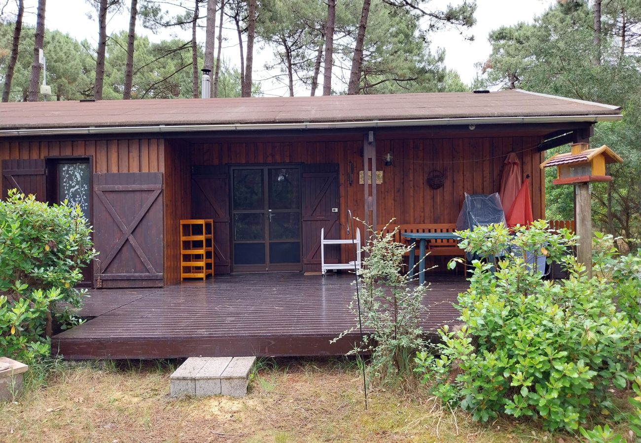 Chalet in Grayan-et-l´Hôpital - Chalet Amérique du Sud 13