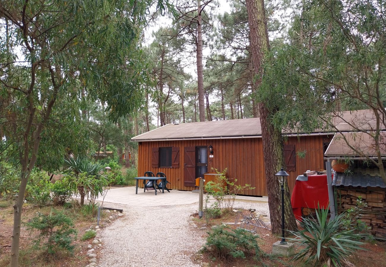 Chalet in Grayan-et-l´Hôpital - Chalet Amérique du Sud 13