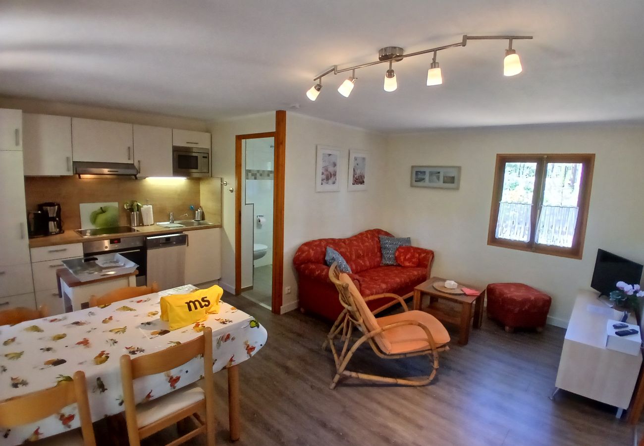 Chalet in Grayan-et-l´Hôpital - Chalet Amérique du Sud 19