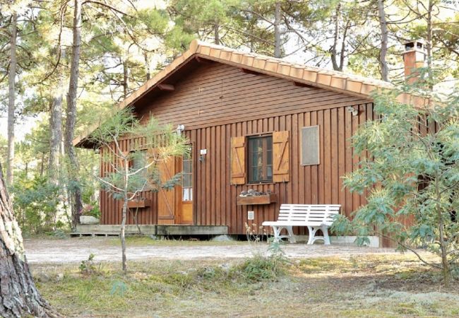 Chalet in Grayan-et-l´Hôpital - Chalet Amérique du Sud 31