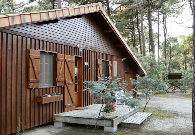 Chalet in Grayan-et-l´Hôpital - Chalet Amérique du Sud 31 Chalet in Grayan-et-l´Hôpital - Chalet Amérique du Sud 31