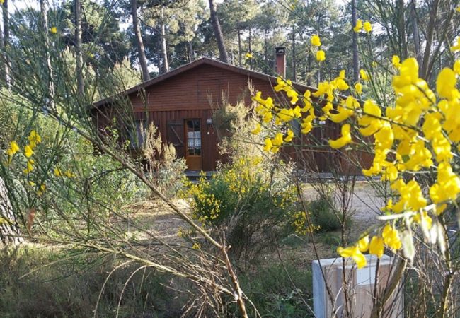 Chalet in Grayan-et-l´Hôpital - Chalet Bahia 2