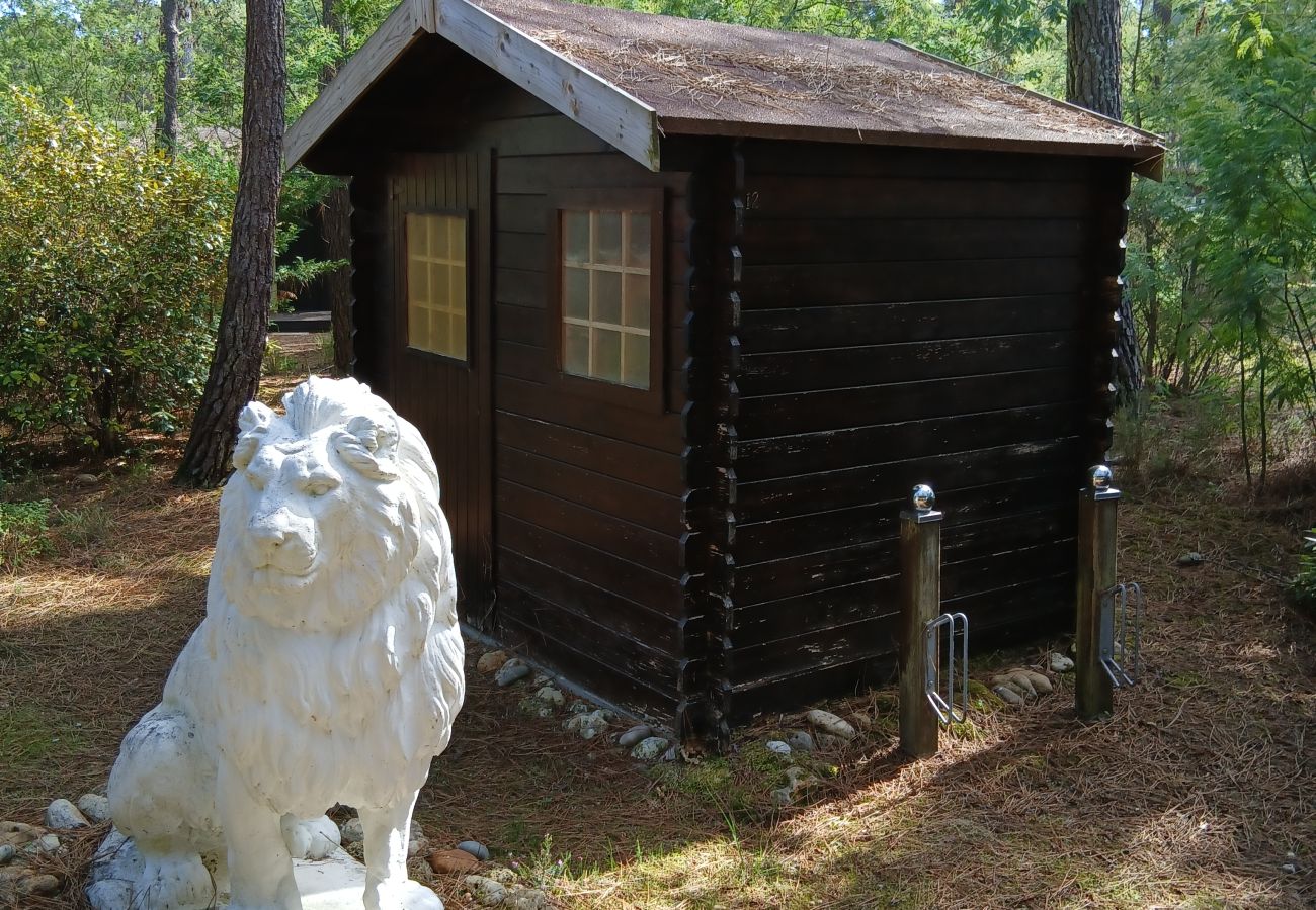 Chalet in Grayan-et-l´Hôpital - Chalet Ceylan 12