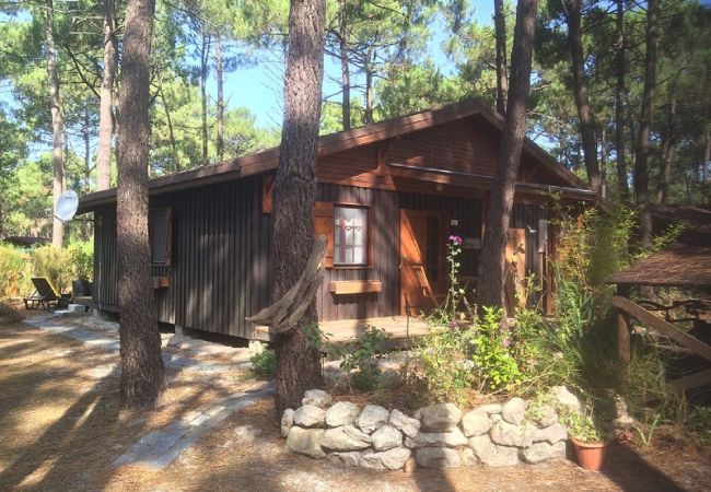 Chalet in Grayan-et-l´Hôpital - Chalet Tchad 10