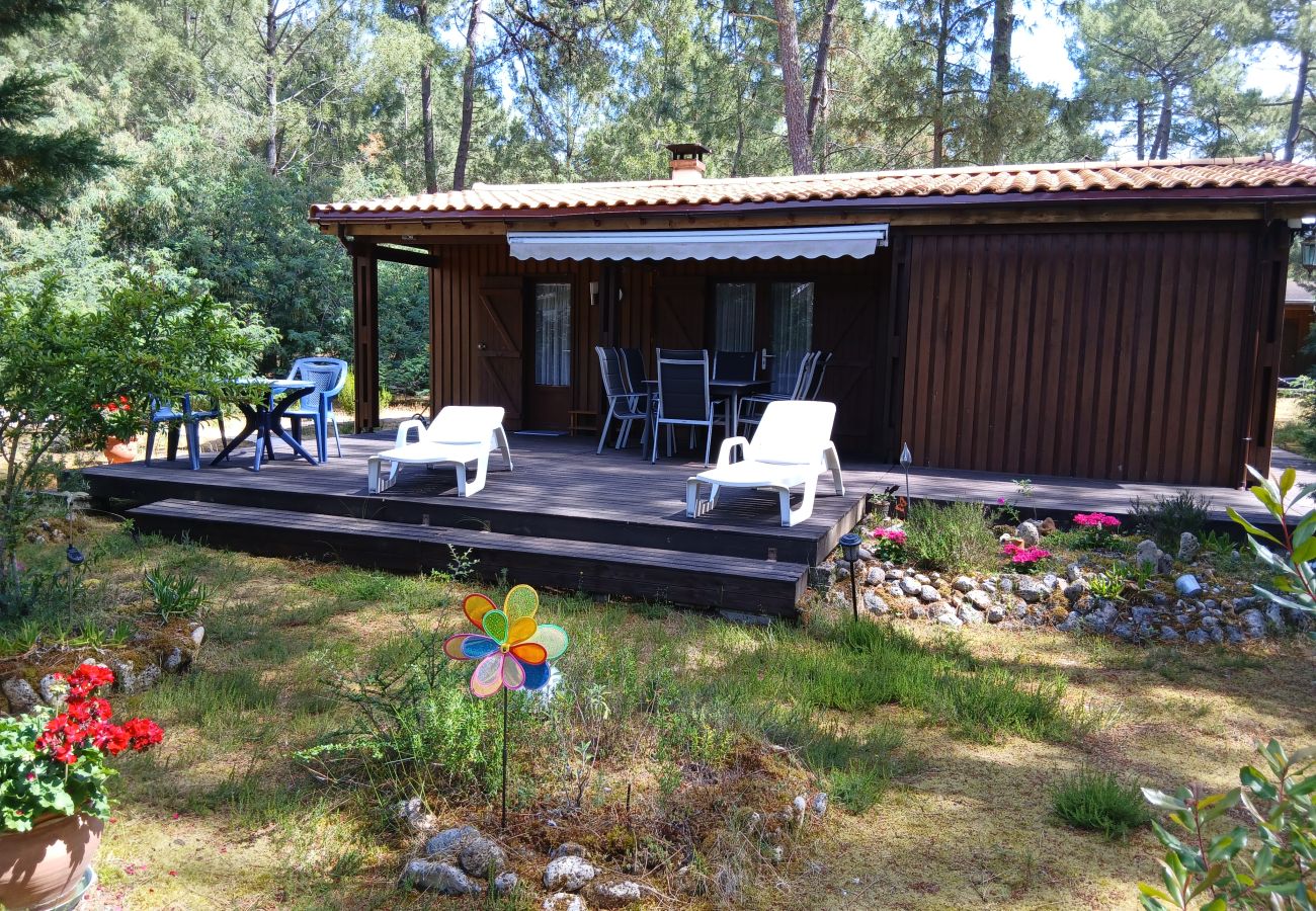 Chalet in Grayan-et-l´Hôpital - Chalet Danemark 9