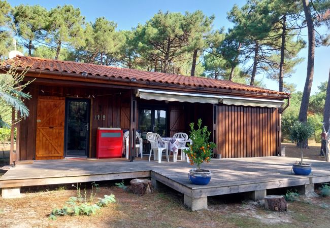 Chalet in Grayan-et-l´Hôpital - Chalet Egypte 8