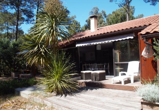 Chalet in Grayan-et-l´Hôpital - Chalet Surinam 6