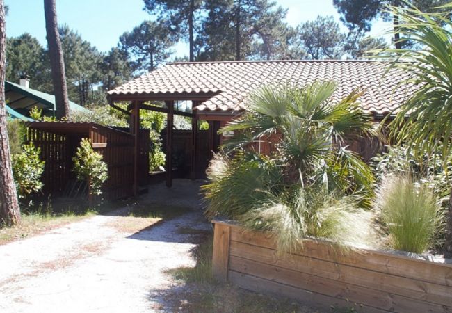 Chalet in Grayan-et-l´Hôpital - Chalet Surinam 6