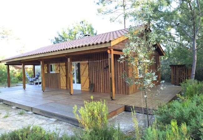 Chalet in Grayan-et-l´Hôpital - Chalet Ile de la Société 4