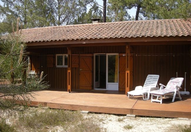 Chalet in Grayan-et-l´Hôpital - Chalet Ile de la Société 4