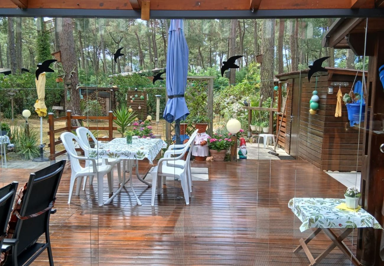 Chalet in Grayan-et-l´Hôpital - Chalet Suède 1