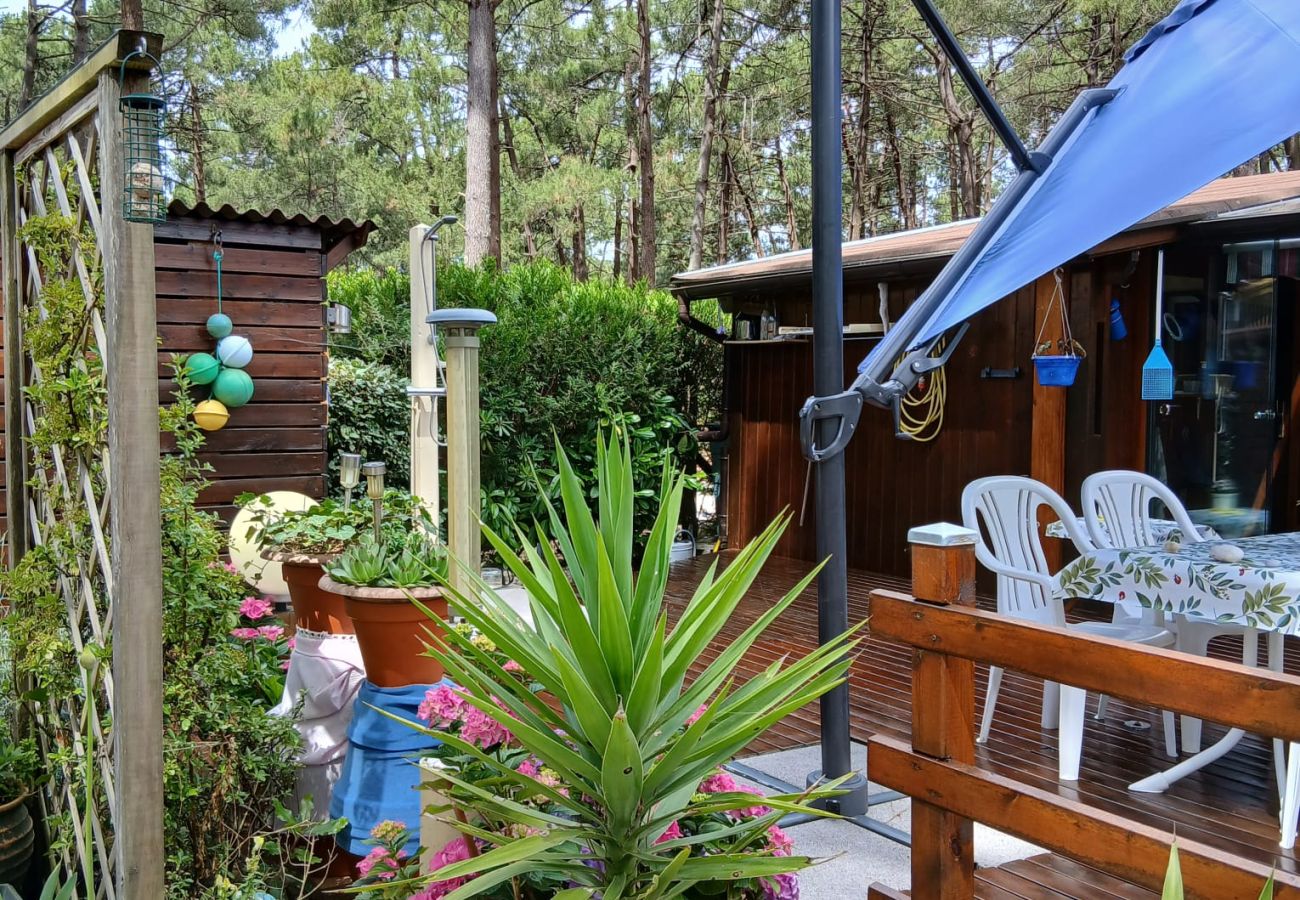 Chalet in Grayan-et-l´Hôpital - Chalet Suède 1