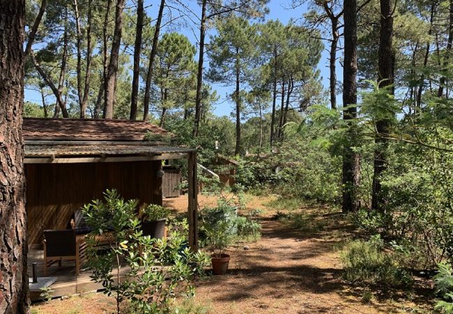 Chalet in Grayan-et-l´Hôpital - Chalet Turquie 13