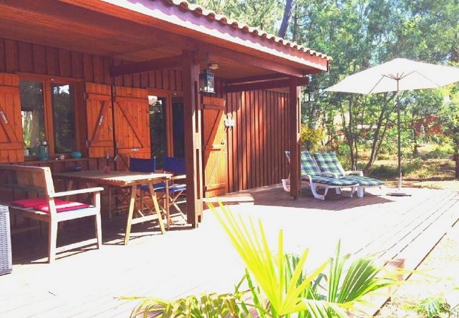 Chalet in Grayan-et-l´Hôpital - Chalet Salvador 5