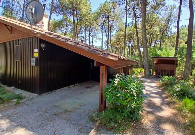 Chalet in Grayan-et-l´Hôpital - Chalet Martinique 3 Chalet in Grayan-et-l´Hôpital - Chalet Martinique 3