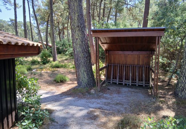 Chalet in Grayan-et-l´Hôpital - Chalet Martinique 3 Chalet in Grayan-et-l´Hôpital - Chalet Martinique 3