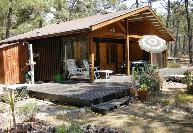 Villa in Grayan-et-l´Hôpital - Chalet Nigéria 11