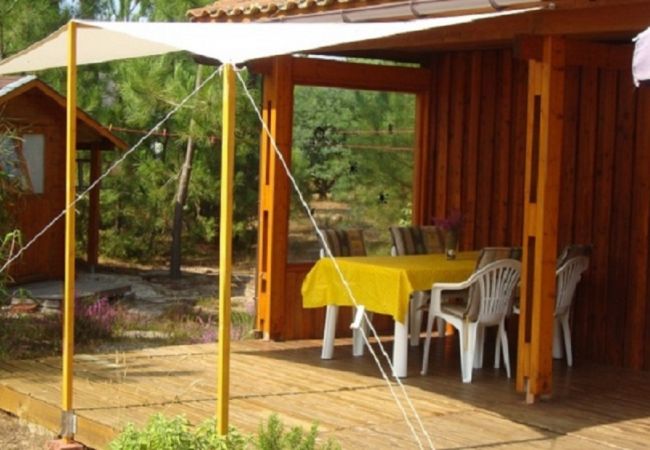 Chalet in Grayan-et-l´Hôpital - Chalet Virginie 1